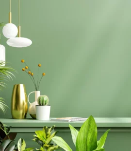 Beau salon décoré de plantes vertes